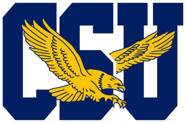 Coppin State Eagles 2017-Pres Primary Logo t shirts iron on transfers